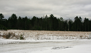 Lot 6 Commercial Lane Lyndon VT